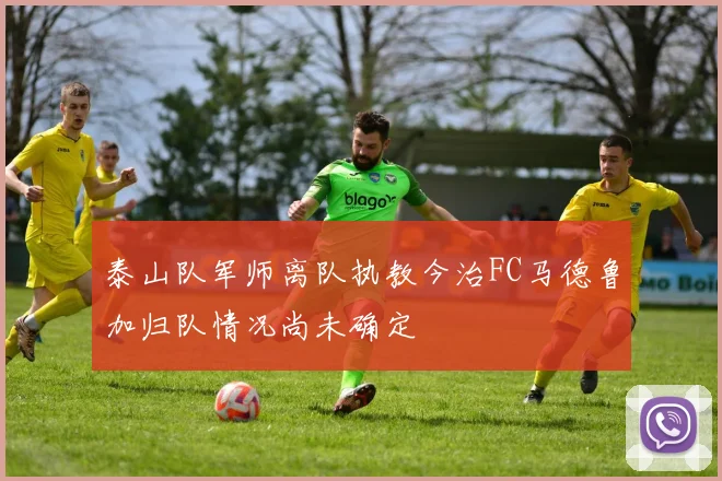 泰山队军师离队执教今治FC马德鲁加归队情况尚未确定