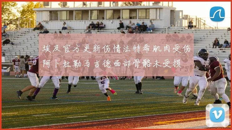 埃及官方更新伤情法特希肌肉受伤阿卜杜勒马吉德面部骨骼未受损