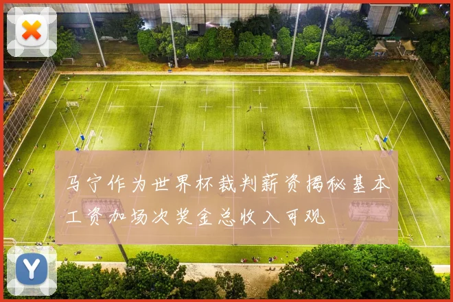 马宁作为世界杯裁判薪资揭秘基本工资加场次奖金总收入可观